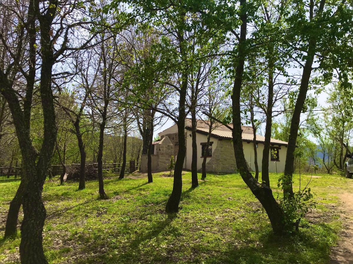 Ovostolai Cottage Fonni Exteriér fotografie
