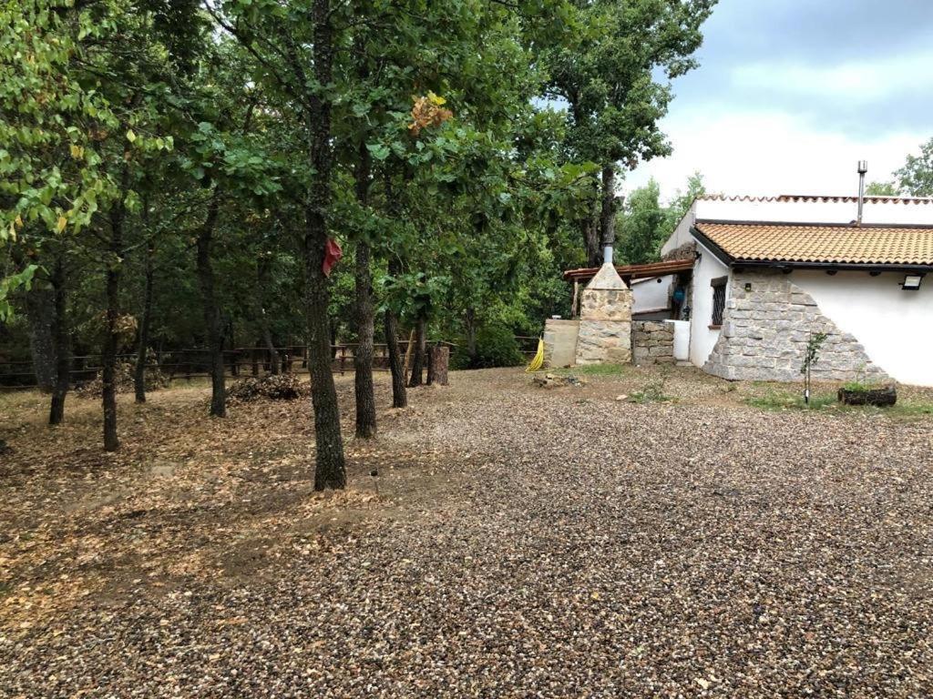 Ovostolai Cottage Fonni Exteriér fotografie