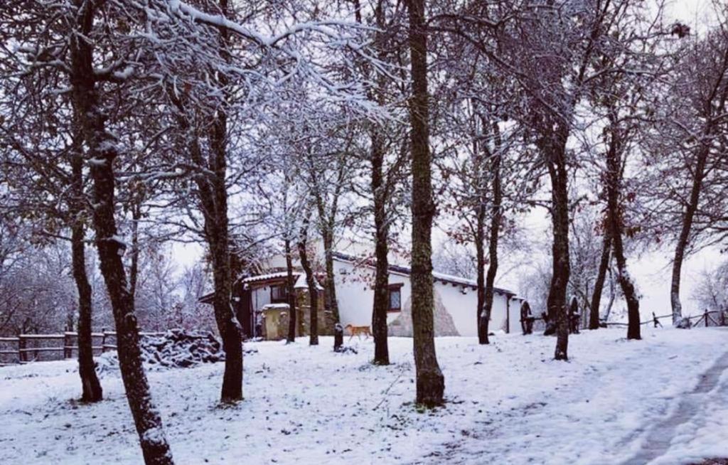 Ovostolai Cottage Fonni Exteriér fotografie