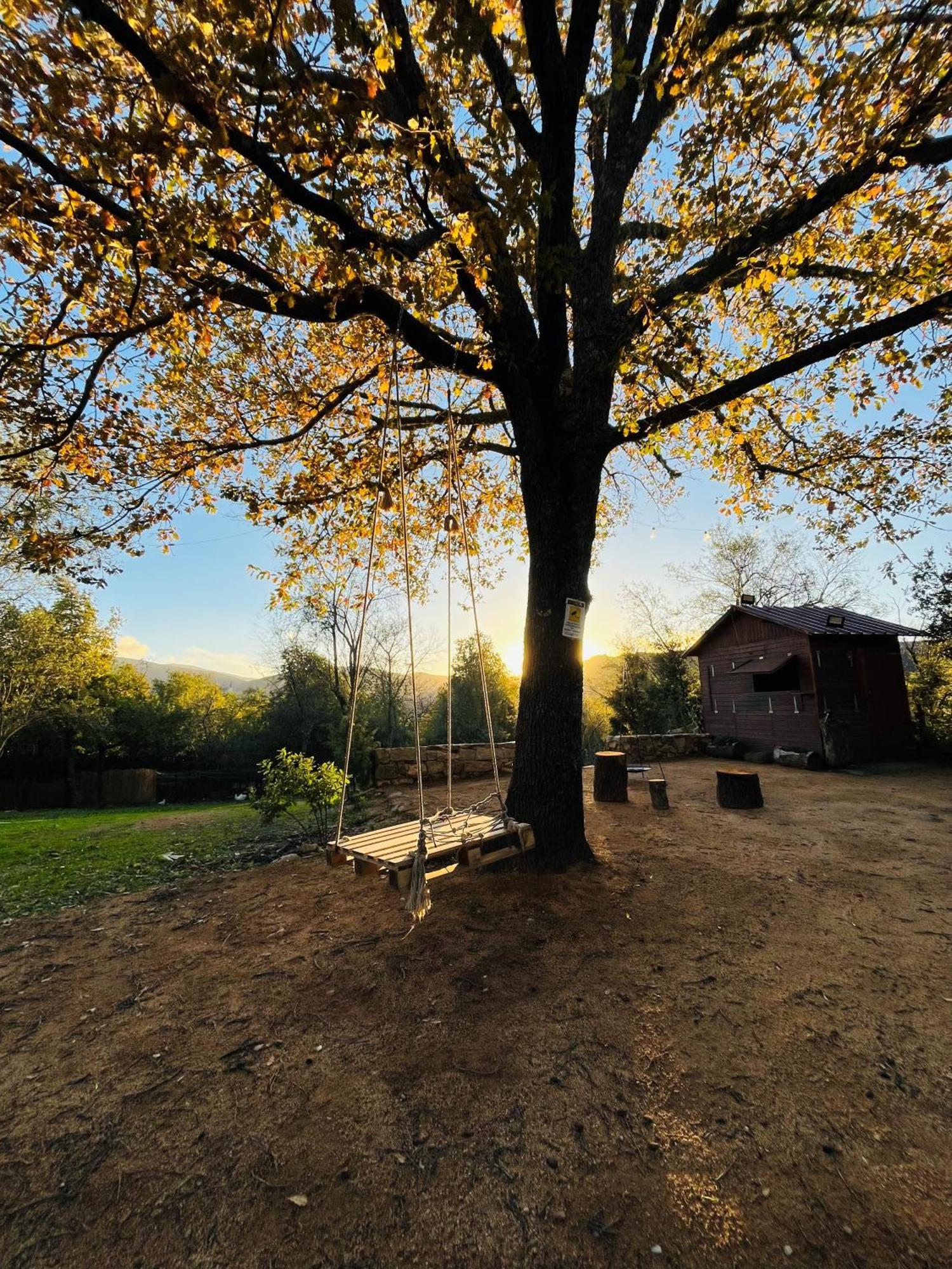 Ovostolai Cottage Fonni Exteriér fotografie